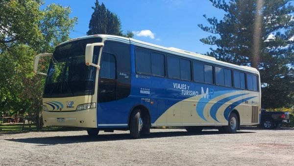 Bus